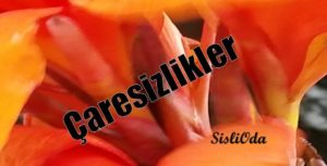 caresizlikler-1