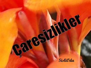 caresizlikler-3