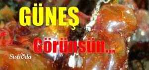 gunes-gorunsun-1