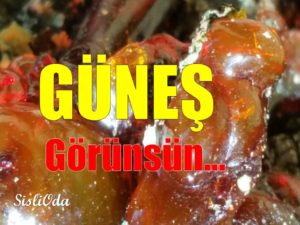 gunes-gorunsun-so