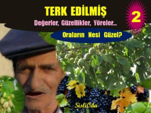 oralarin-nesi-guzel-so