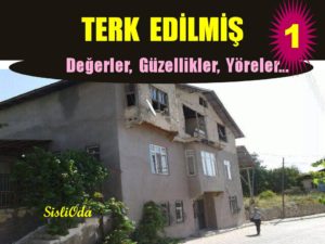 terk-edilmis-so